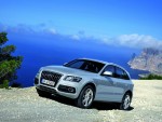 2009 Audi Q5