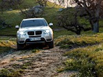 2011 BMW X3