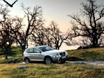 2011 BMW X3