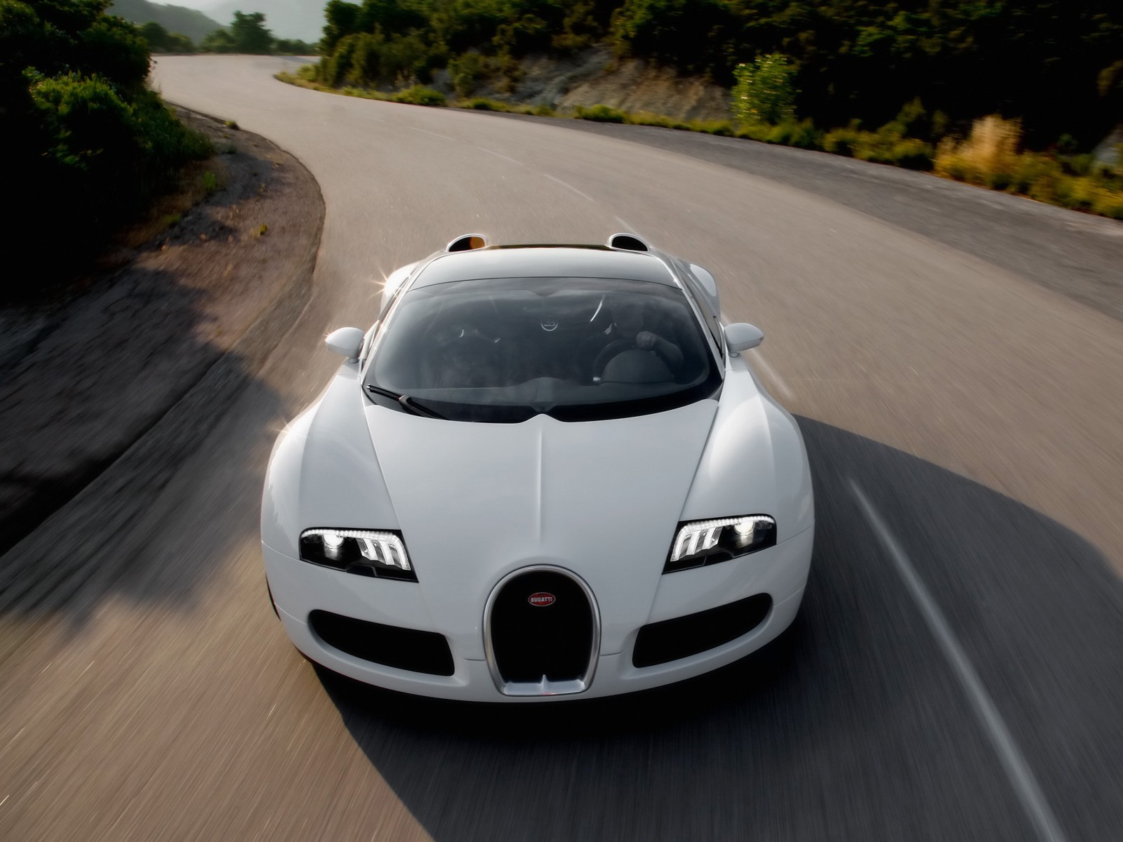 Bugatti Ettore Veyron