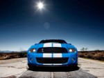 2010 Ford Shelby GT500