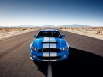 2010 Ford Shelby GT500