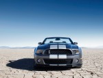 2010 Ford Shelby GT500