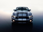 2010 Ford Shelby GT500